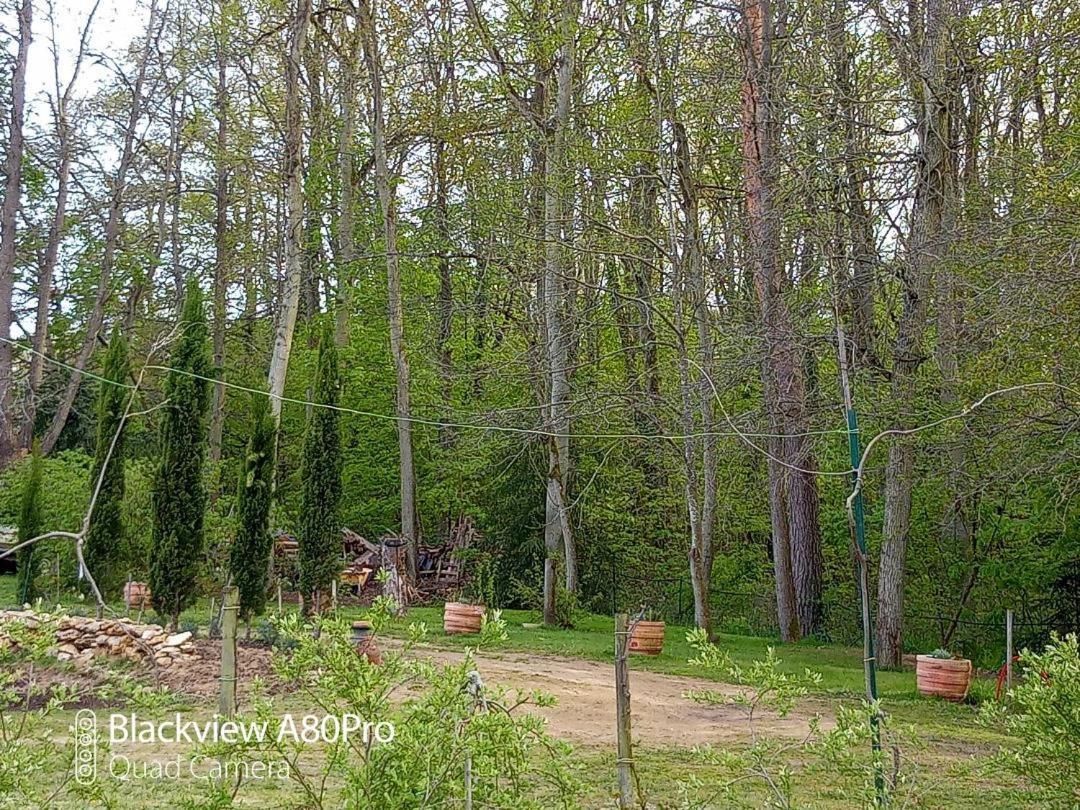 La Sablonniere De Rochefort Екстериор снимка
